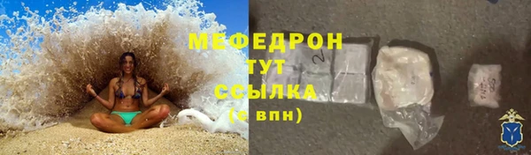 молекула духа Новозыбков