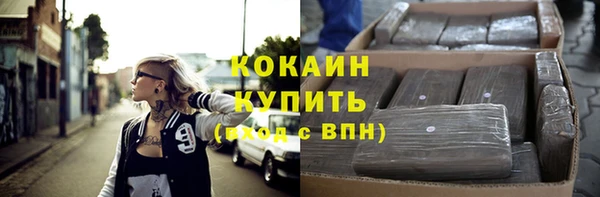 молекула духа Новозыбков