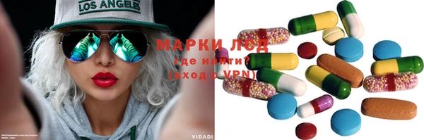 молекула духа Новозыбков