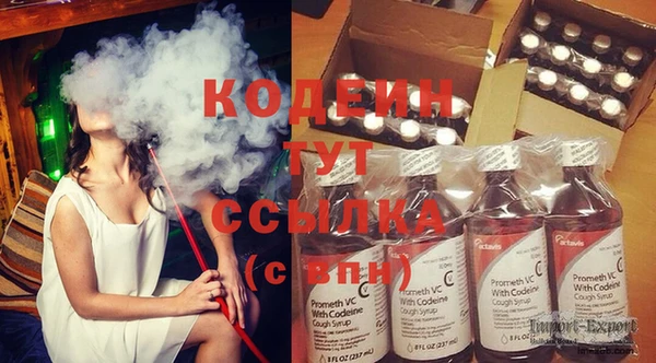 молекула духа Новозыбков
