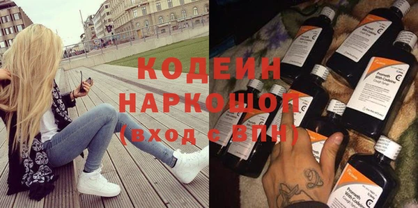 молекула духа Новозыбков