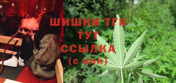 молекула духа Новозыбков