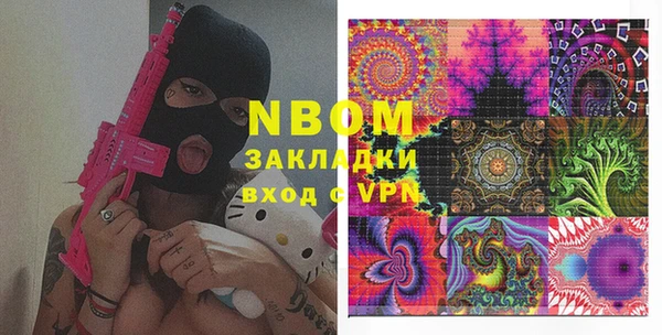 молекула духа Новозыбков