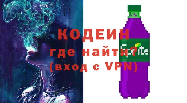 молекула духа Новозыбков
